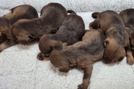 072db076-d6fd-4bdc-9a91-93cb2f45f38c