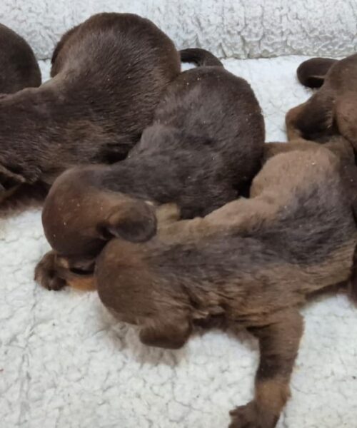 072db076-d6fd-4bdc-9a91-93cb2f45f38c