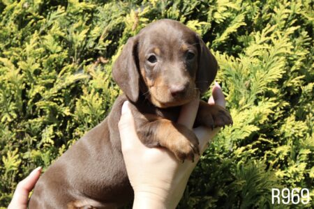 075B391A-3899-4361-AEE8-A1567A3A6145