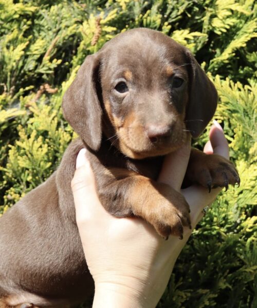 075B391A-3899-4361-AEE8-A1567A3A6145