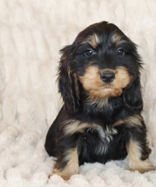 0B893ACC-6F69-4A33-AE57-E2E8990EE990