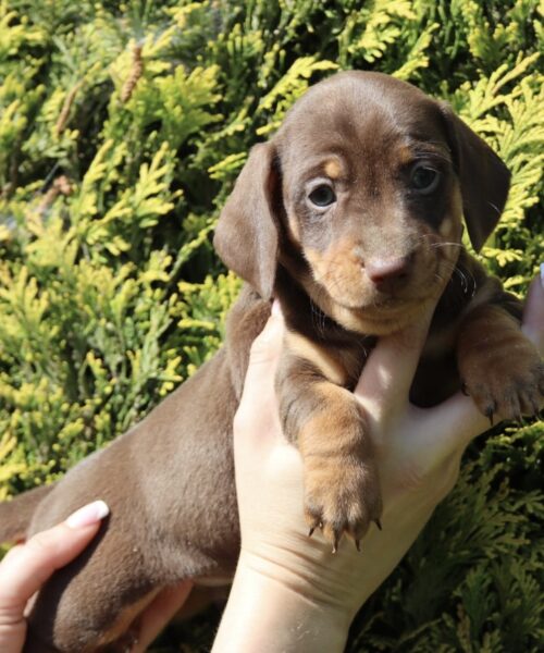 0ED48A02-B4FB-421E-ADEB-7C8EA9E42B95