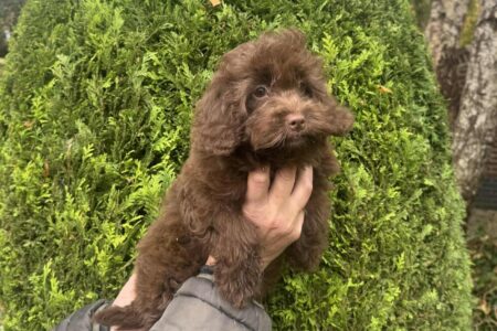 0d481d97-b0e8-4cf3-b4a9-024e372ad60c