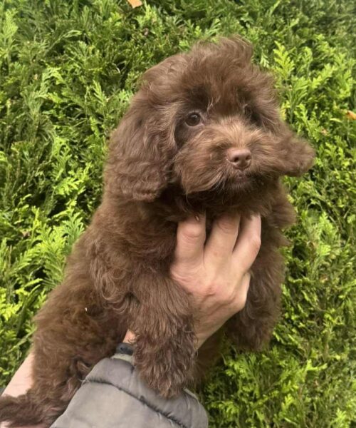 0d481d97-b0e8-4cf3-b4a9-024e372ad60c