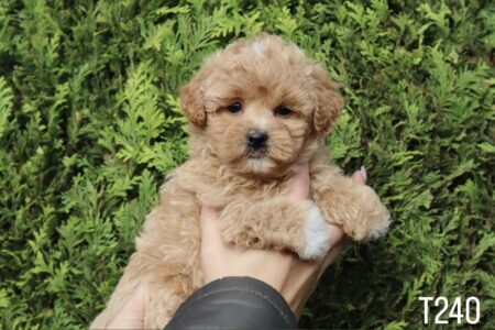 1801B2E3-0675-45A5-80D6-DADDA38D99CD