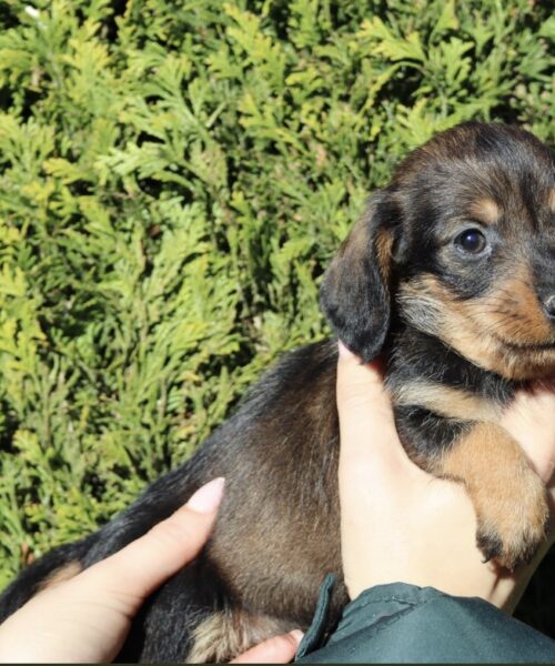 1FCFE665-A7A8-4CB1-9DB4-1DA380C80E5A