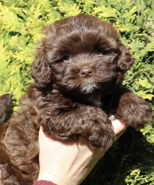 2271B403-40D5-4951-B3A1-E39DD18E3400