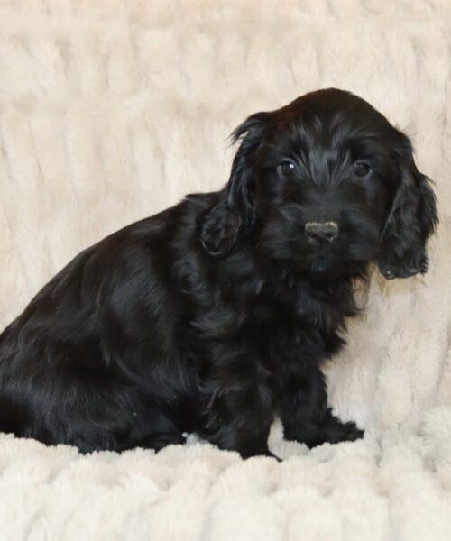 2284A770-D375-4ECE-95D1-A11E80453293