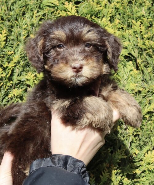 28783759-1D96-418D-B619-3AD53295B138