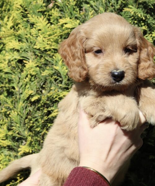 28798A3B-ED6F-47DC-B9D8-51825FC88AA8