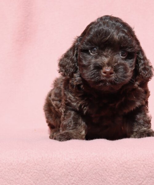 2D5E4F40-71AF-4524-8CFB-974D9C047ECA