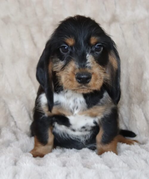 3484C1C2-E7B5-423B-82C7-57E5776D7DD0