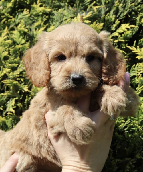 35A9B537-5847-4AB9-B408-A9A0640A5AFD