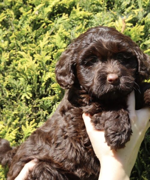 36567836-2595-4970-B5DA-EF7E4E881FBB