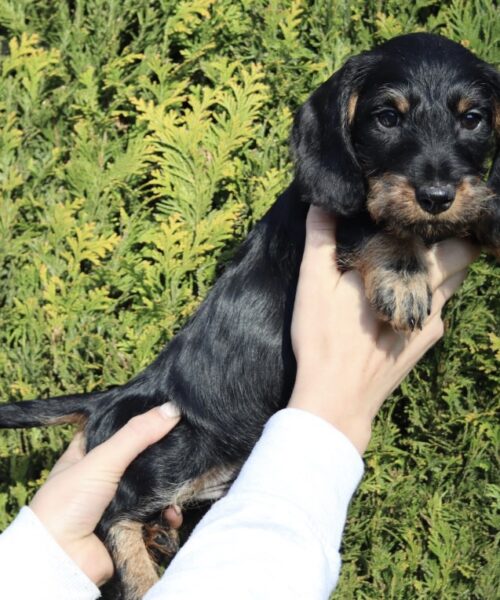 37CBA17D-E33A-4031-8837-F2218650F5AC