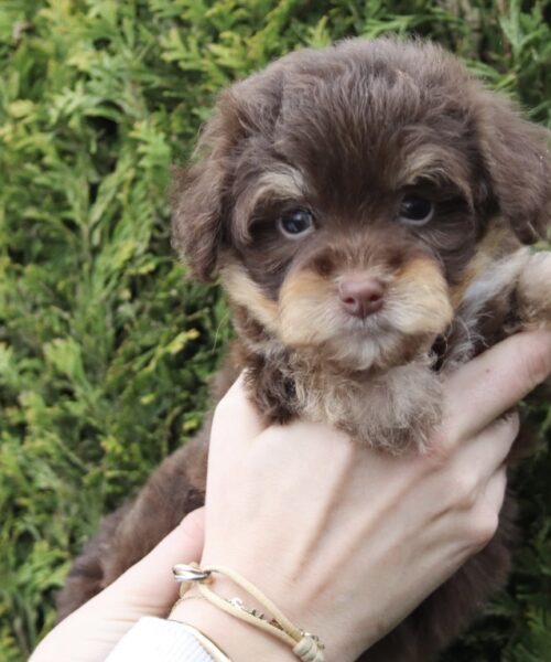 38A09B3B-ECEE-429B-8795-617D4DEA4D98