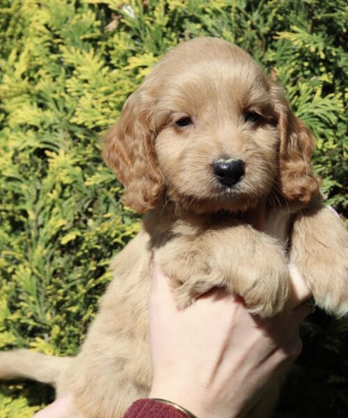 3B213B90-CD56-4189-A737-4846D441EBE1