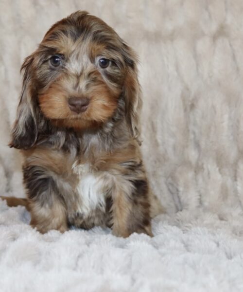 3CED8C14-7F74-4E03-980F-EC51CDD7163E