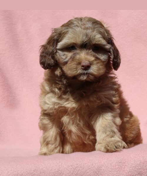 3EDD813D-46BF-4B46-853A-FAC3E145087D