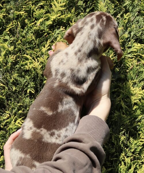 44A03BCB-AD0B-4CF5-957B-C6A478840F24