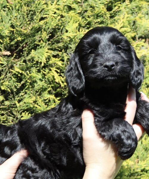 4690A22D-78EA-46B7-95B4-026D18F54A65