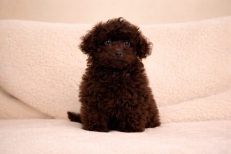 4791946E-B762-4CA6-8319-523AAFCC4B7B