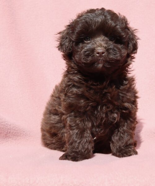 482EA2FD-0621-4944-90B8-A4BC39568AA0