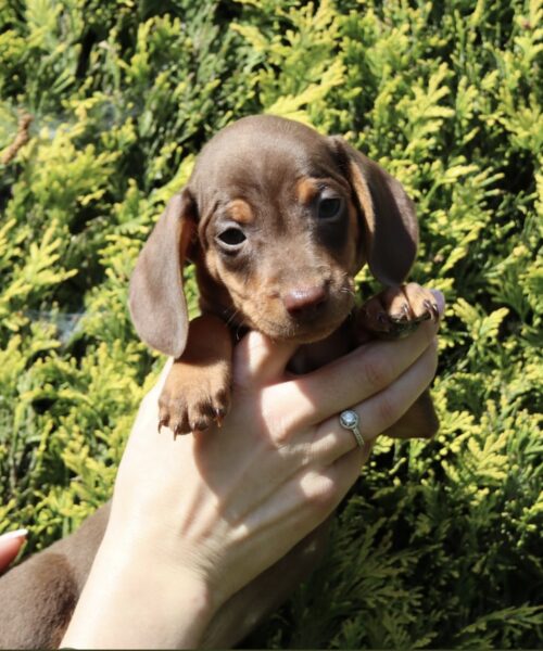 50FFBED4-A2F6-4FE9-80D6-FBCF48031996