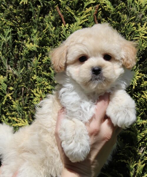 55FEF83B-F0EC-464B-A65C-906E93E627B0