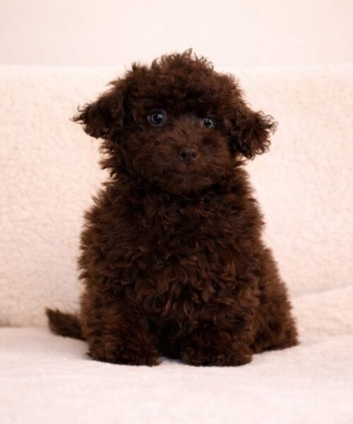 597BEA40-9BC4-4365-828A-3E0CFF5080D3