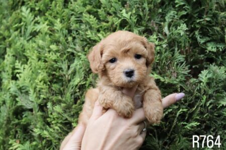 5AE6746E-F1C9-4722-84B0-B36C206FAEE9