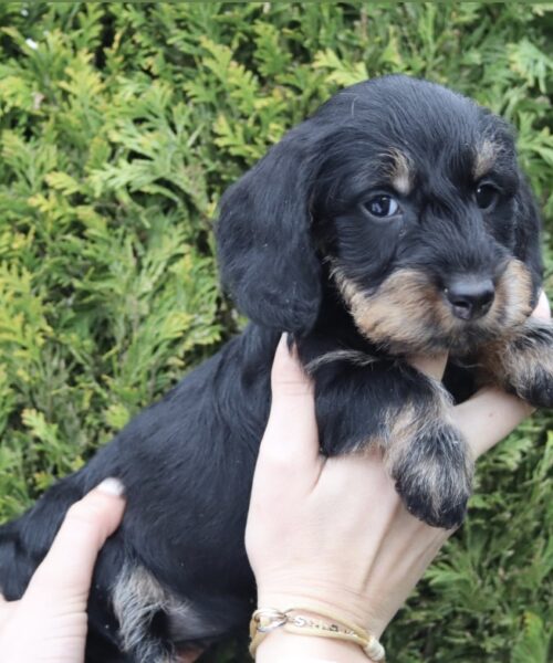 5C7A5176-6FBD-4EB9-958F-125C1C7F8414