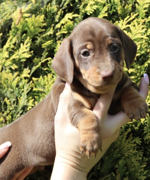 5DB4202E-EB16-4C97-9B1D-671E1FC7F31A