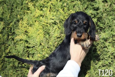 6292698C-0570-453D-B76D-C65CB53D16E9