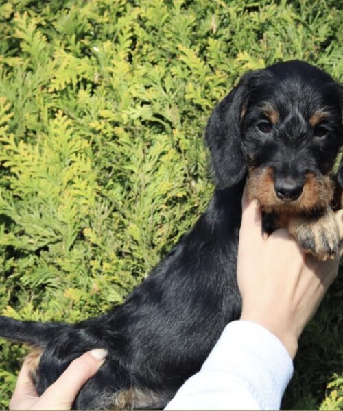 6292698C-0570-453D-B76D-C65CB53D16E9