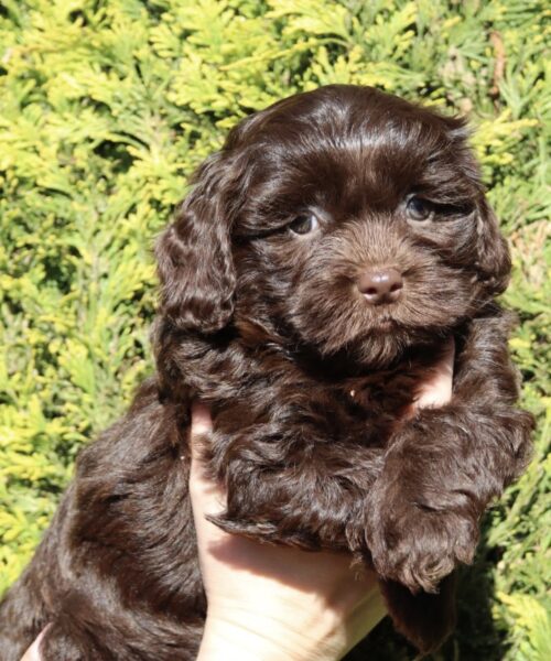 62D71CA9-748F-4592-BC55-C36AAFE190B1