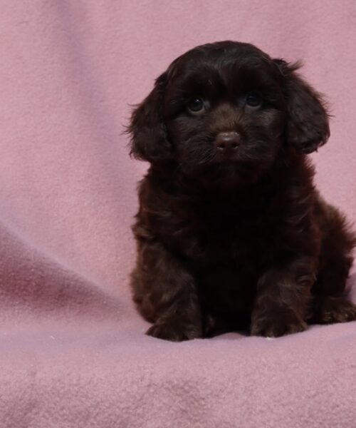 64C8AF23-E3E3-4DBE-9FED-DE7B93C080F2