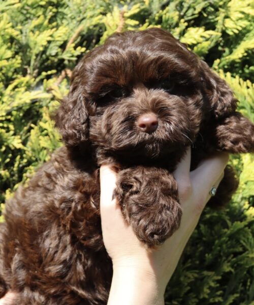 6DE46F98-17B8-4992-8FA2-8D3D0B733047