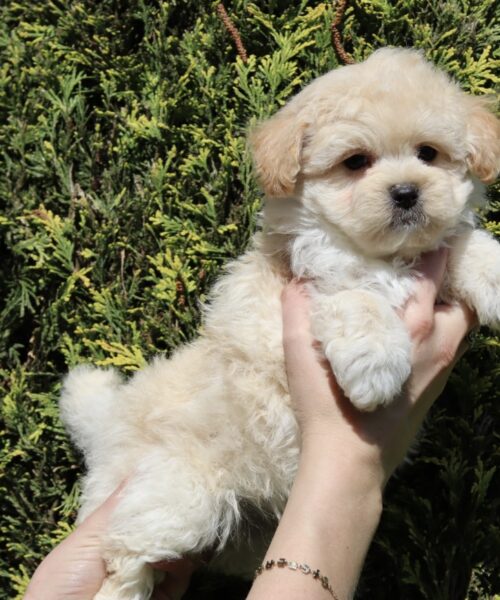 6E7248DD-E76B-4694-9236-5BA8C23F63C5