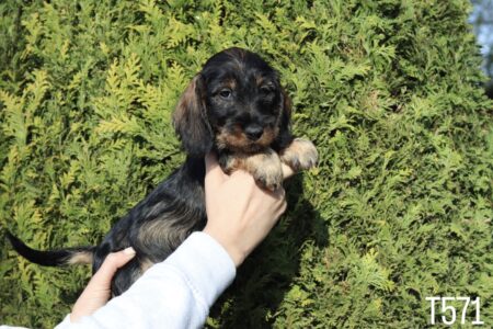 749AFCED-F75F-42FE-8652-CDCB3AEA4B83