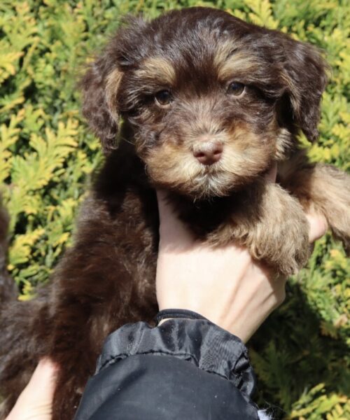 779478D8-4988-43AE-9646-322FF4279C1B