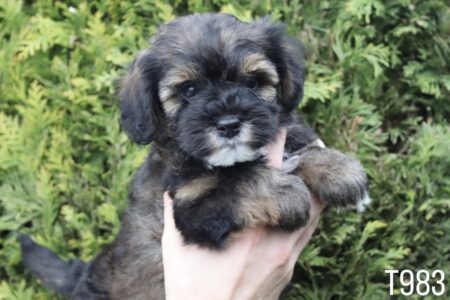 8250450F-F8B5-48E2-AB82-40CDEB76A880