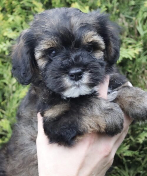 8250450F-F8B5-48E2-AB82-40CDEB76A880