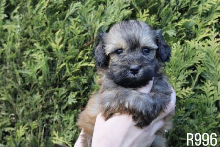 8327F923-A8A2-4949-B3DD-E3712E140F68