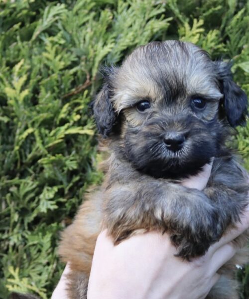 8327F923-A8A2-4949-B3DD-E3712E140F68