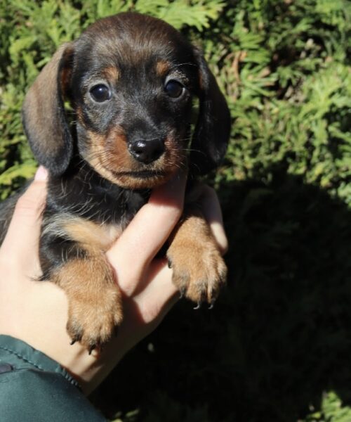 84778A73-5986-4C91-A645-85667D7BC954