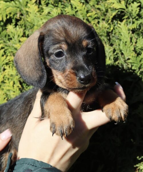 86CCBE27-9B47-4671-A09E-FCCE7AA15BC3