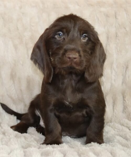 875DA849-A736-4F42-B435-67C036A7EF84