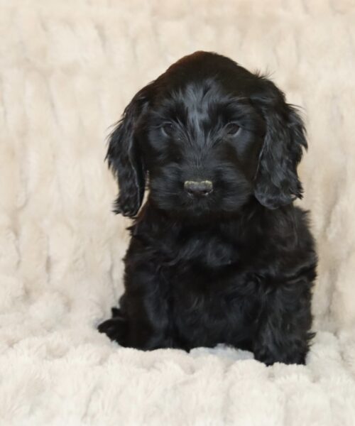 885D24A0-8847-4F93-81BE-EC7BF8AB52C4