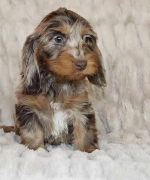 8AE2C527-A6C4-4759-AAA3-B5642E13FA66